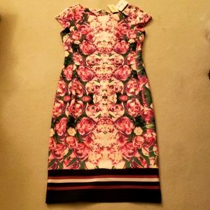 NWT Beige by eci stretch floral dress